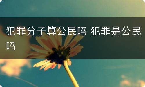 犯罪分子算公民吗 犯罪是公民吗