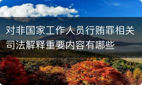 对非国家工作人员行贿罪相关司法解释重要内容有哪些