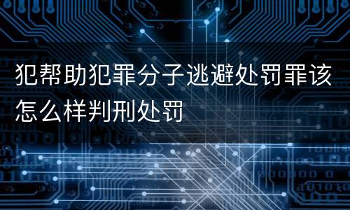 犯帮助犯罪分子逃避处罚罪该怎么样判刑处罚