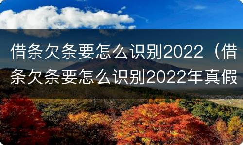 借条欠条要怎么识别2022（借条欠条要怎么识别2022年真假）