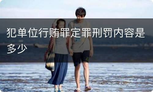 犯单位行贿罪定罪刑罚内容是多少