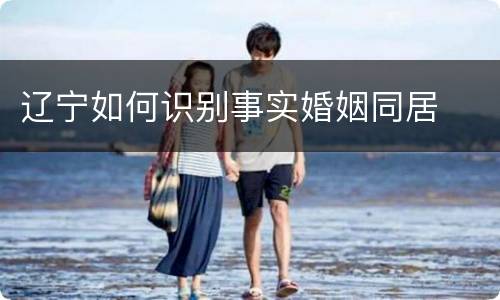 辽宁如何识别事实婚姻同居