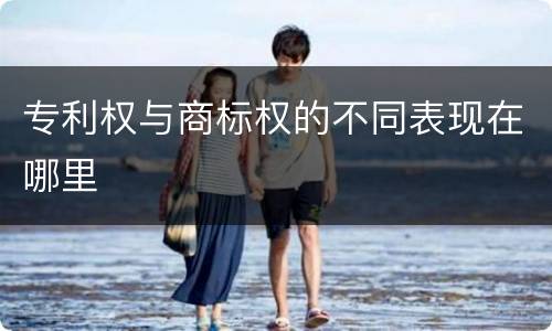 专利权与商标权的不同表现在哪里
