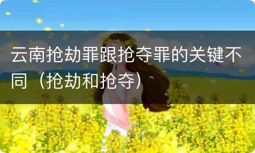 云南抢劫罪跟抢夺罪的关键不同（抢劫和抢夺）