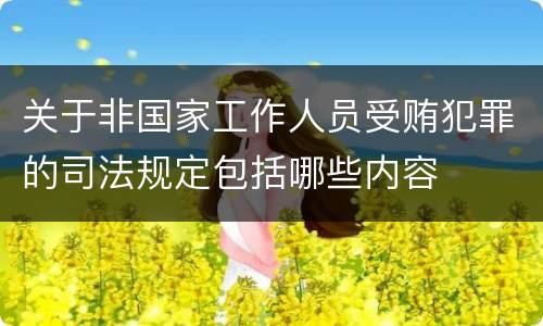 关于非国家工作人员受贿犯罪的司法规定包括哪些内容