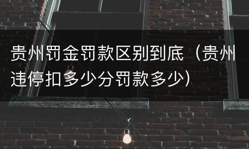 贵州罚金罚款区别到底（贵州违停扣多少分罚款多少）