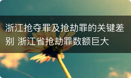 浙江抢夺罪及抢劫罪的关键差别 浙江省抢劫罪数额巨大