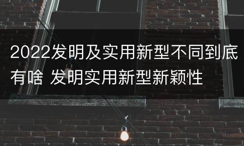 2022发明及实用新型不同到底有啥 发明实用新型新颖性