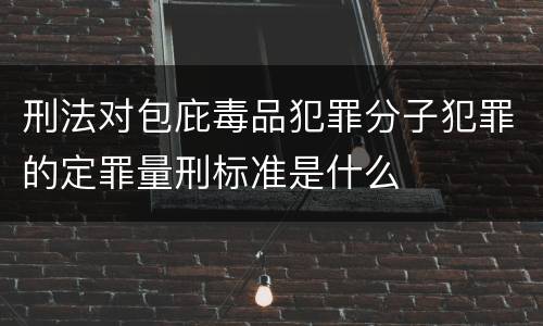 刑法对包庇毒品犯罪分子犯罪的定罪量刑标准是什么