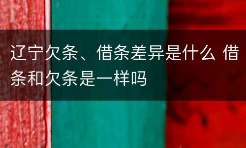 辽宁欠条、借条差异是什么 借条和欠条是一样吗