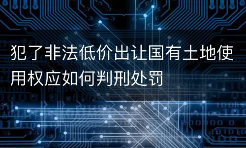 犯了非法低价出让国有土地使用权应如何判刑处罚