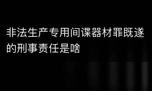 非法生产专用间谍器材罪既遂的刑事责任是啥