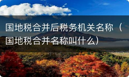 国地税合并后税务机关名称（国地税合并名称叫什么）