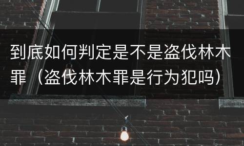 到底如何判定是不是盗伐林木罪（盗伐林木罪是行为犯吗）