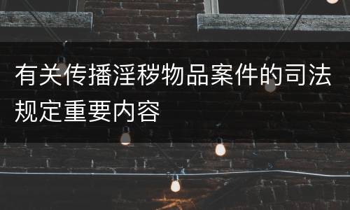 有关传播淫秽物品案件的司法规定重要内容