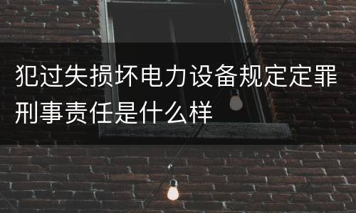 犯过失损坏电力设备规定定罪刑事责任是什么样