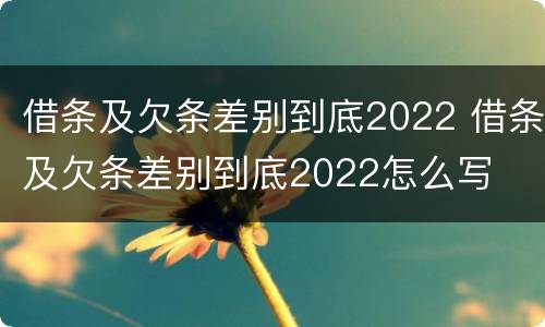 借条及欠条差别到底2022 借条及欠条差别到底2022怎么写