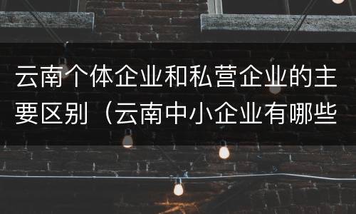 云南个体企业和私营企业的主要区别（云南中小企业有哪些）