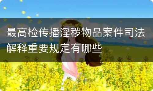 最高检传播淫秽物品案件司法解释重要规定有哪些