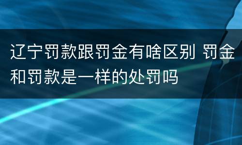 辽宁罚款跟罚金有啥区别 罚金和罚款是一样的处罚吗