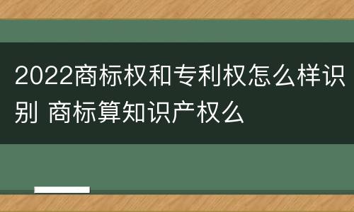 2022商标权和专利权怎么样识别 商标算知识产权么