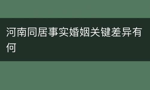 河南同居事实婚姻关键差异有何