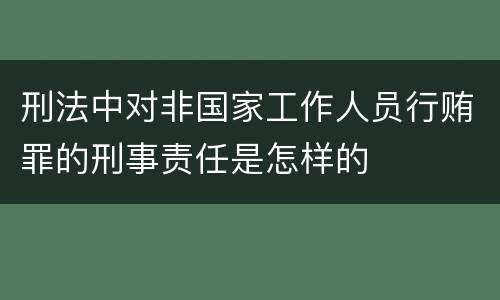 刑法中对非国家工作人员行贿罪的刑事责任是怎样的