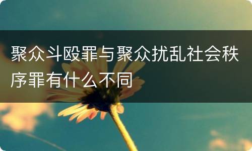 聚众斗殴罪与聚众扰乱社会秩序罪有什么不同