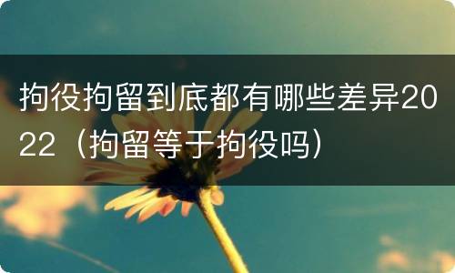 拘役拘留到底都有哪些差异2022（拘留等于拘役吗）
