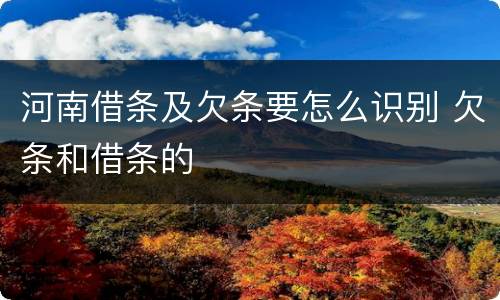河南借条及欠条要怎么识别 欠条和借条的