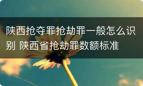 陕西抢夺罪抢劫罪一般怎么识别 陕西省抢劫罪数额标准