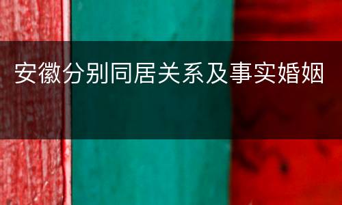 安徽分别同居关系及事实婚姻