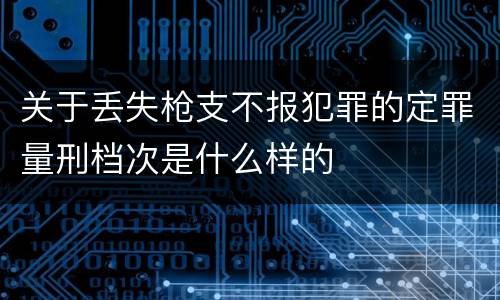关于丢失枪支不报犯罪的定罪量刑档次是什么样的