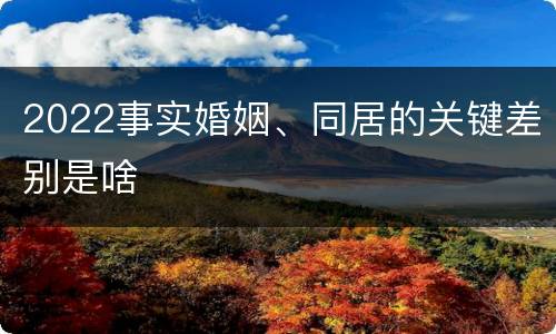 2022事实婚姻、同居的关键差别是啥