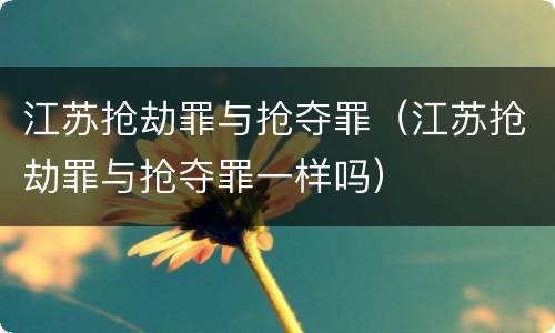 江苏抢劫罪与抢夺罪（江苏抢劫罪与抢夺罪一样吗）
