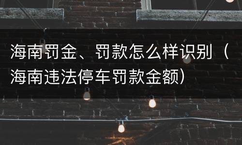 海南罚金、罚款怎么样识别（海南违法停车罚款金额）