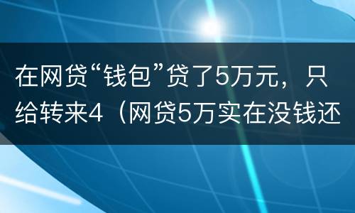 在网贷“钱包”贷了5万元，只给转来4（网贷5万实在没钱还怎么办）