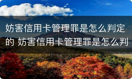 妨害信用卡管理罪是怎么判定的 妨害信用卡管理罪是怎么判定的呢