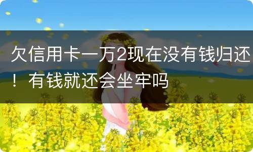 欠信用卡一万2现在没有钱归还！有钱就还会坐牢吗
