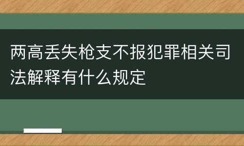 两高丢失枪支不报犯罪相关司法解释有什么规定