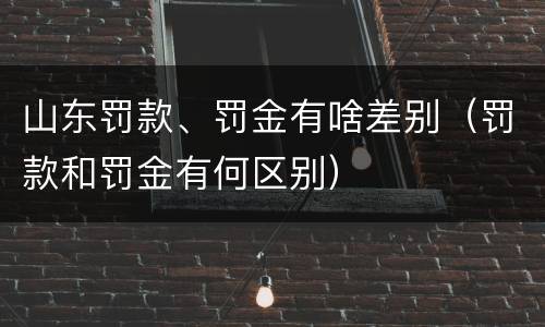 山东罚款、罚金有啥差别（罚款和罚金有何区别）