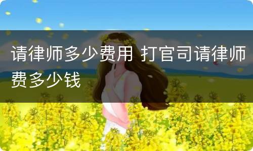请律师多少费用 打官司请律师费多少钱