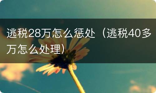 逃税28万怎么惩处（逃税40多万怎么处理）