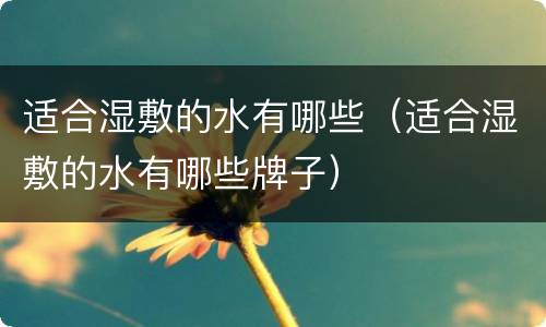适合湿敷的水有哪些（适合湿敷的水有哪些牌子）