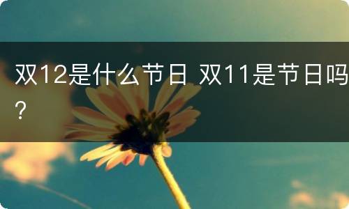 双12是什么节日 双11是节日吗?