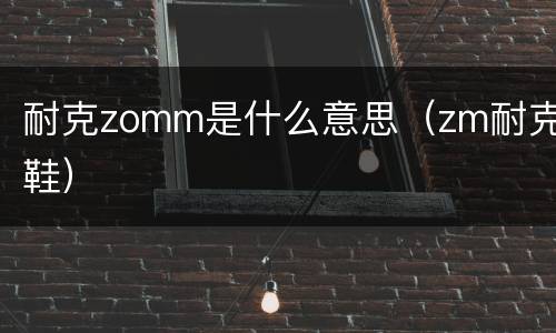耐克zomm是什么意思（zm耐克鞋）