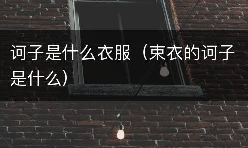 诃子是什么衣服（束衣的诃子是什么）