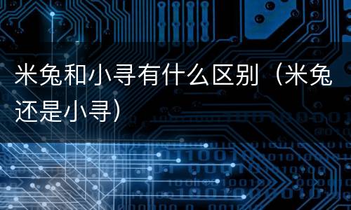 米兔和小寻有什么区别（米兔还是小寻）