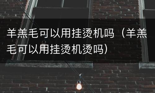 羊羔毛可以用挂烫机吗（羊羔毛可以用挂烫机烫吗）
