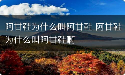 阿甘鞋为什么叫阿甘鞋 阿甘鞋为什么叫阿甘鞋啊